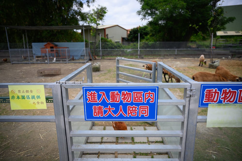 台中威爾森的農場|我們去過才知道,綿羊小豬都能親手餵,室內兒童餐區才是亮點 7 台中威爾森的農場 - 威爾森的農場票價、交通與適合對象