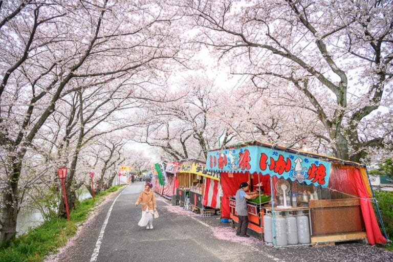 日本岐阜-墨俣一夜城址公園完整攻略|豐臣秀吉傳奇城址與春日櫻花盛景 5 日本岐阜-墨俣一夜城址公園|街道、櫻花、攤販、行人,櫻花大道旁設有多個日式小吃攤位,粉白花海覆蓋天空,行人漫步其間,氛圍熱鬧而浪