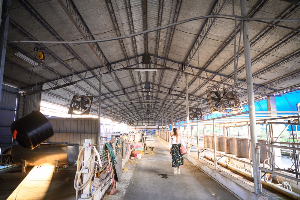 屏東萬大牧場|我們去過才知道,室內草地搭乳牛造型椅與燈籠,農場感比想像中更足 6 屏東萬大牧場 - 萬大牧場附近景點與一日遊組合