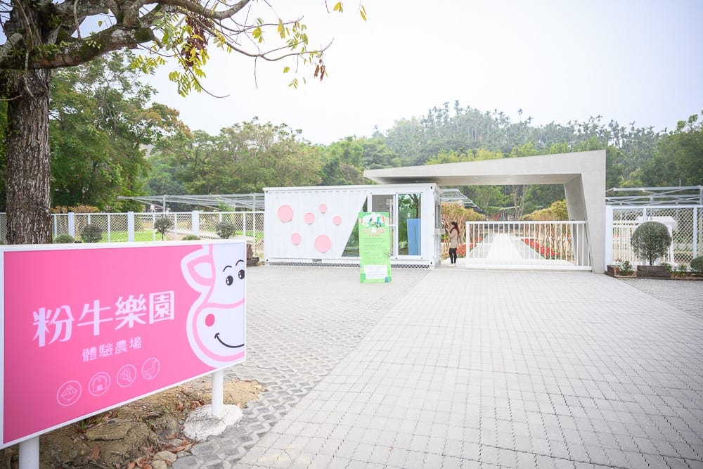 嘉義粉牛樂園|我們去過才知道,粉色貨櫃屋配牛頭造型裝飾,拍起來跟濾鏡一樣 1 嘉義粉牛樂園|我們去過才知道,粉色貨櫃屋配牛頭造型裝飾,拍起來跟濾鏡一樣