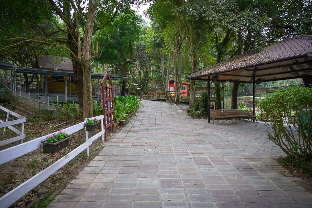 粉牛樂園場景