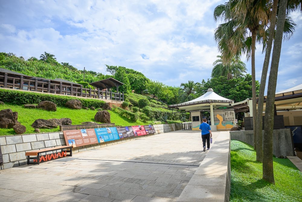新北親子景點懶人包|10+個親子放電景點(享樂園、恐龍大復活關渡探險樂園、野柳地質公園) 2 新北野柳地質公園