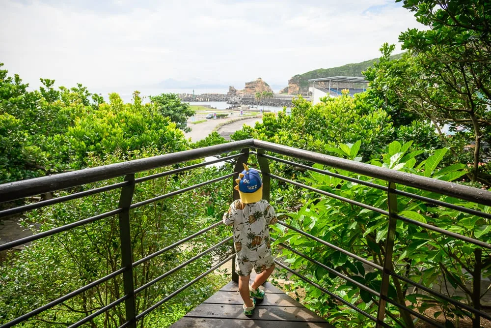 新北野柳地質公園完整攻略|女王頭奇岩怪石玩法解析 11 新北野柳地質公園|小孩、觀景台、欄杆、樹林、海邊、遠山,陽光灑落,氣氛寧靜悠閒。