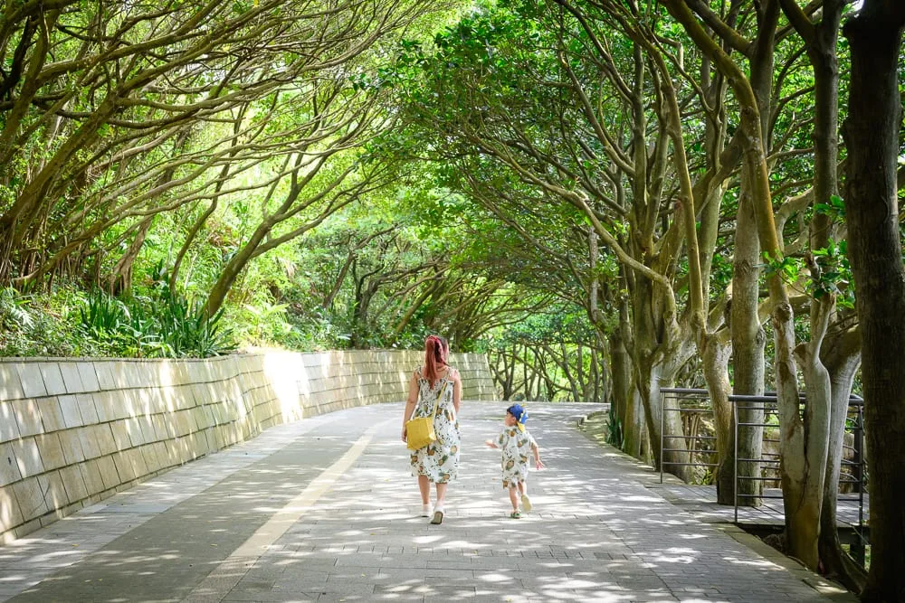新北野柳地質公園完整攻略|女王頭奇岩怪石玩法解析 13 新北野柳地質公園|一對母子漫步於鋪滿石板的林蔭步道,兩側綠樹成蔭、枝葉交錯形成自然隧道,樹影間透下點點日光,呈現寧靜自然的戶