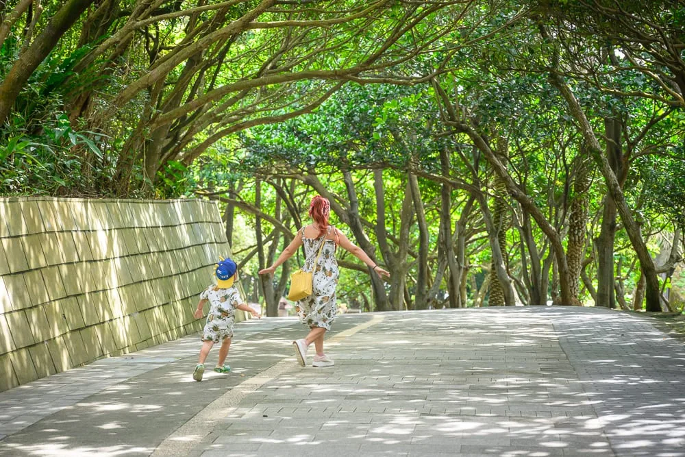 新北野柳地質公園完整攻略|女王頭奇岩怪石玩法解析 12 新北野柳地質公園|日光穿過樹梢的綠意林蔭道上,一位母親與年幼孩子正開心地奔跑,兩旁是高大的樹木與石牆,地面斑駁光影交錯,散
