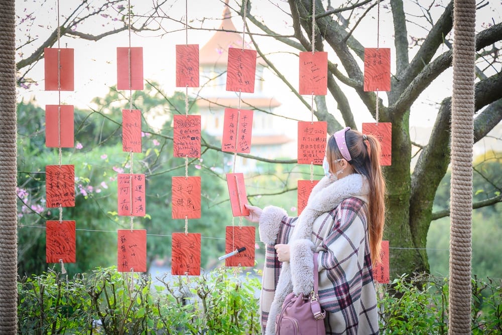 新北淡水天元宮櫻花｜紅色祈福紙、樹、女孩、圍欄、綠色植物、建築。