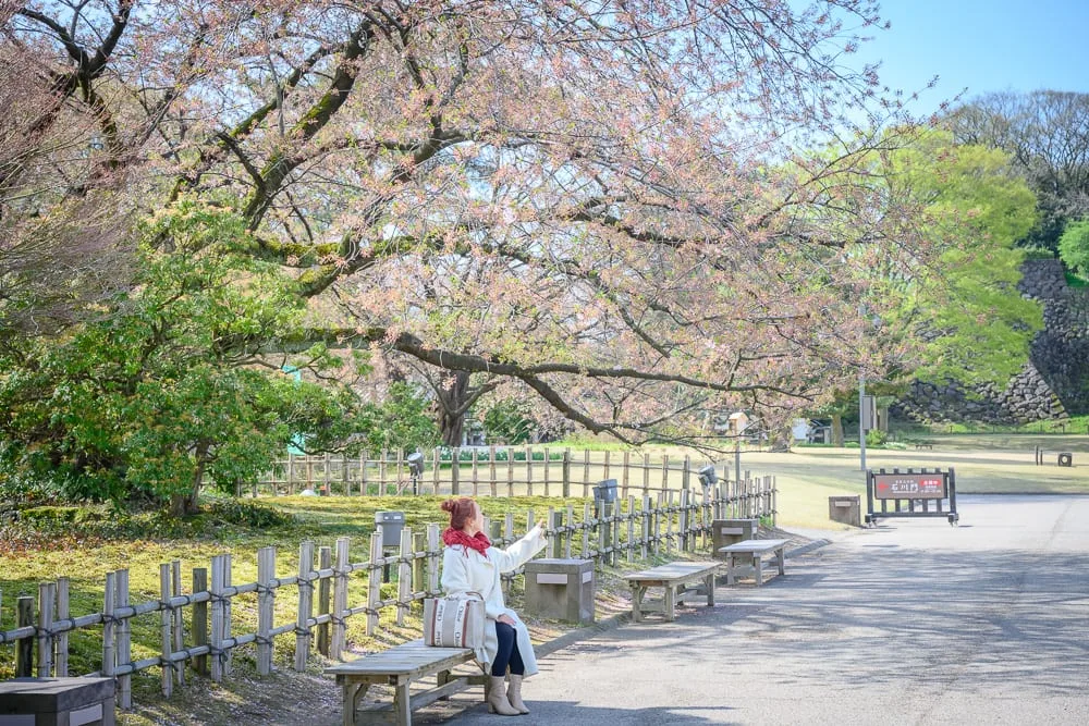 日本金澤城公園完整攻略|石垣博物館與櫻花步道玩法解析 5 日本金澤-金澤城公園 從金澤車站步行或搭巴士
