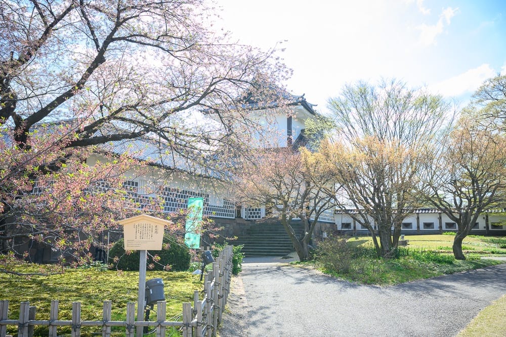 日本金澤-金澤城公園｜城堡、石階、櫻花樹、木造立牌、石子路、草地、圍牆。灰白外牆的傳統建築坐落於綠意與花木之間，前景有木柵