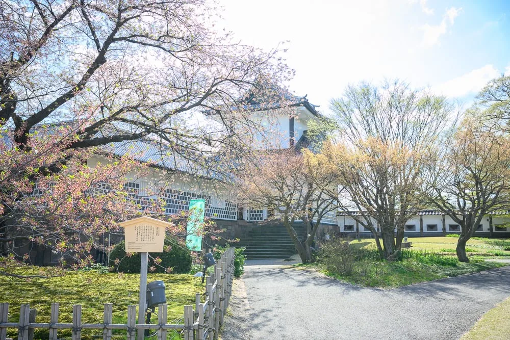 日本金澤城公園完整攻略|石垣博物館與櫻花步道玩法解析 10 日本金澤-金澤城公園|城堡、石階、櫻花樹、木造立牌、石子路、草地、圍牆。灰白外牆的傳統建築坐落於綠意與花木之間,前景有木柵