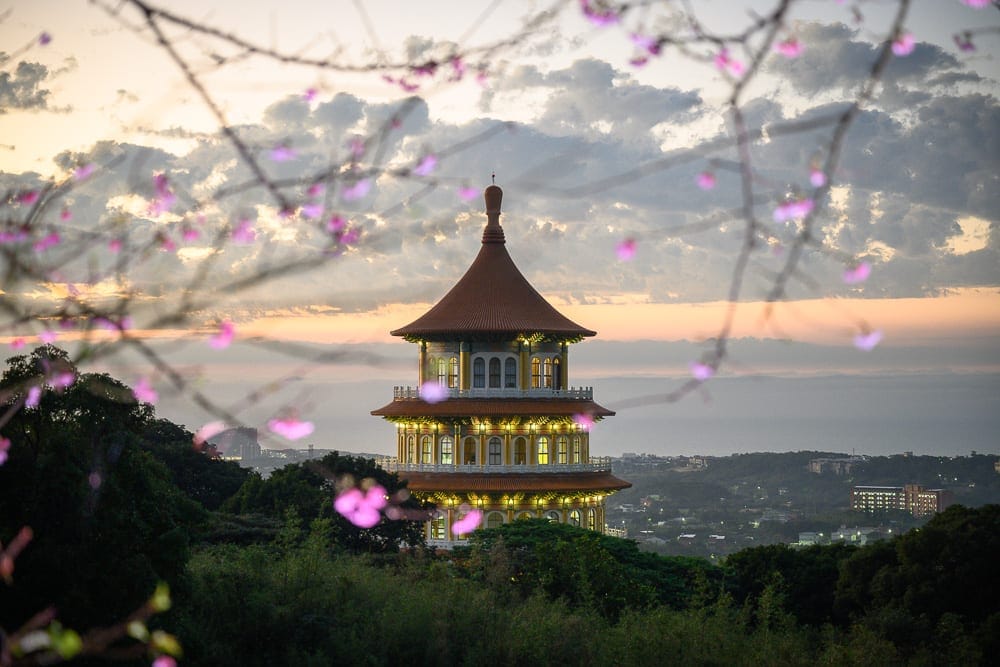 新北淡水天元宮櫻花｜寶塔、樹、粉色花、雲、城市、樓房、日落。