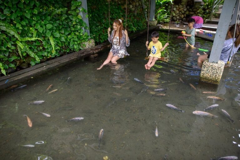 宜蘭花泉休閒農場｜我們去過才知道，多肉植物、魚池互動、大型裝置藝術一次逛完才知道
