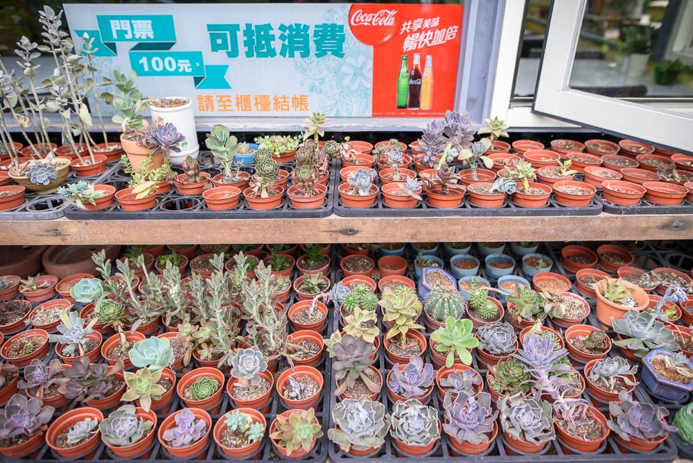 宜蘭花泉休閒農場 - 花泉休閒農場必看亮點與主要體驗