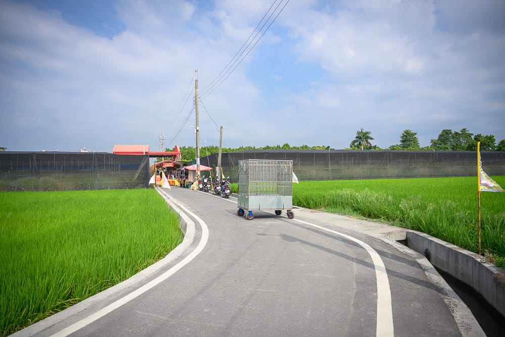 雲林忠雲宮石斛蘭場景