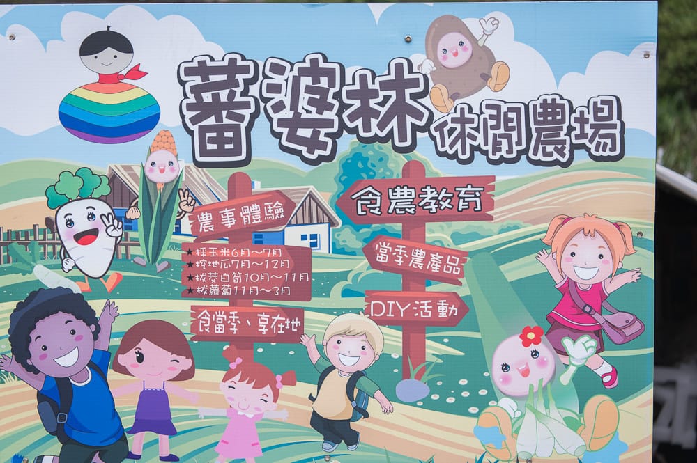 新北番婆林休閒農場 - 番婆林休閒農場必看亮點與主要體驗