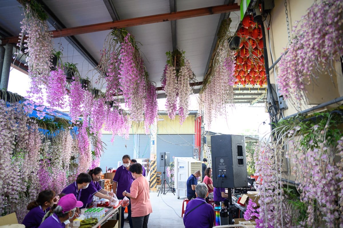 雲林莿桐忠雲宮石斛蘭怎麼安排？粉紫花廊值得特地跑一趟嗎？