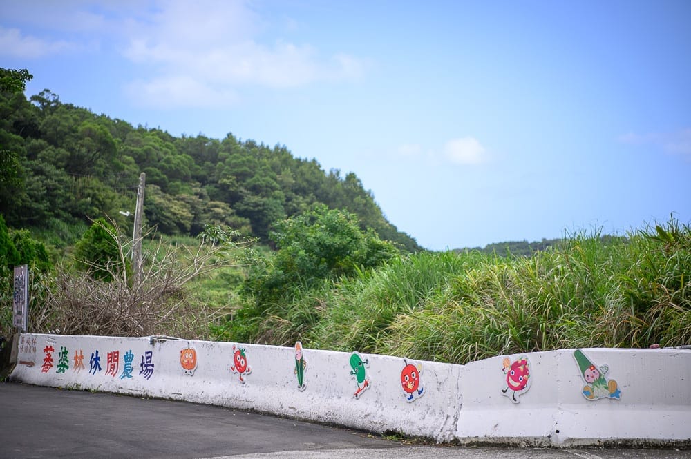 新北親子景點懶人包|10+個親子放電景點(享樂園、恐龍大復活關渡探險樂園、野柳地質公園) 19 新北番婆林休閒農場