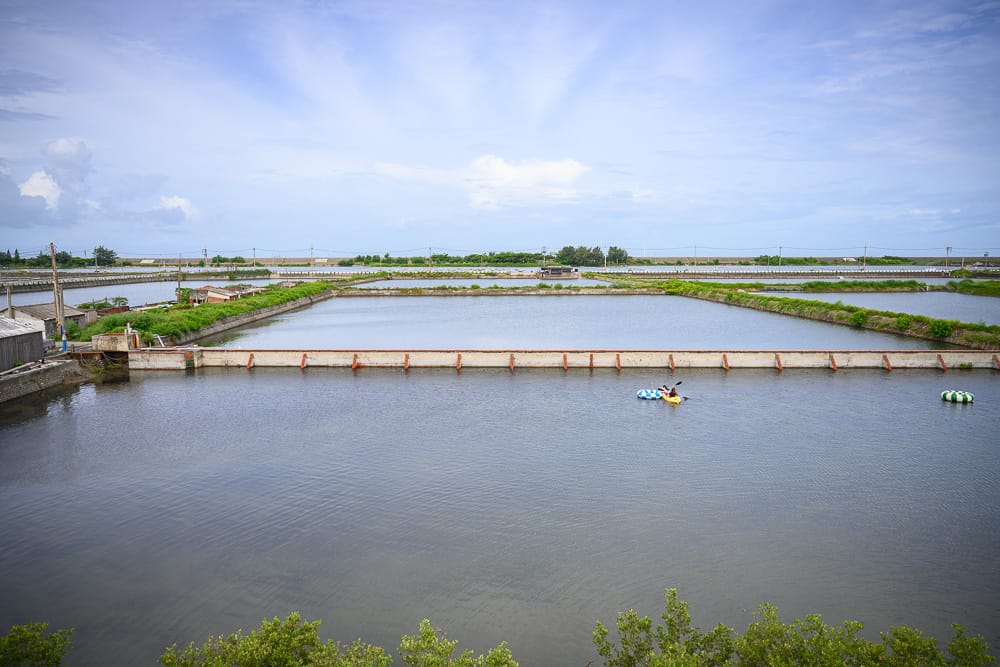 雲林馬蹄蛤主題館|我們去過才知道,藍色觀景台配魚塭獨木舟,這裡才是重點 3 馬蹄蛤主題館 - 馬蹄蛤主題館在哪?位置、規模與遊玩動線