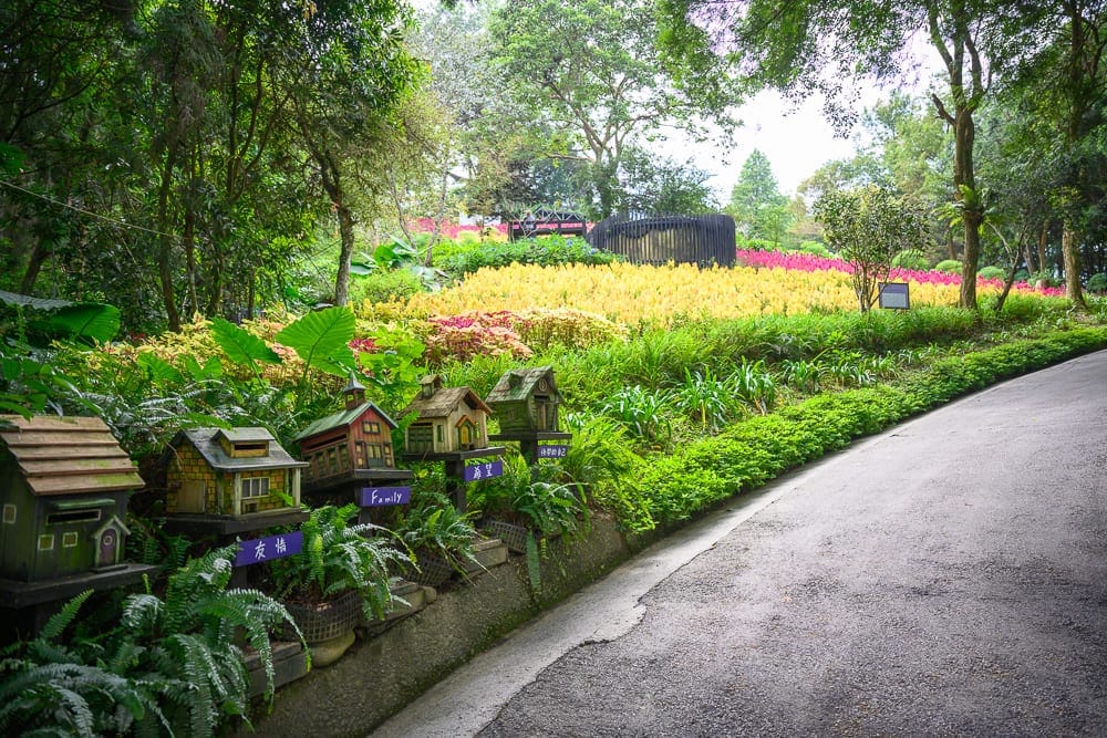 台中薰衣草森林台中新社店完整攻略|旋轉木馬、香草園步道與萬聖節限定活動 3 台中薰衣草森林萬聖節 步道路線、香草House住宿與夜間導覽