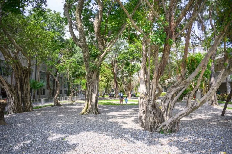 台北國家鐵道博物館完整攻略｜戶外園區與車廂體驗親子指南