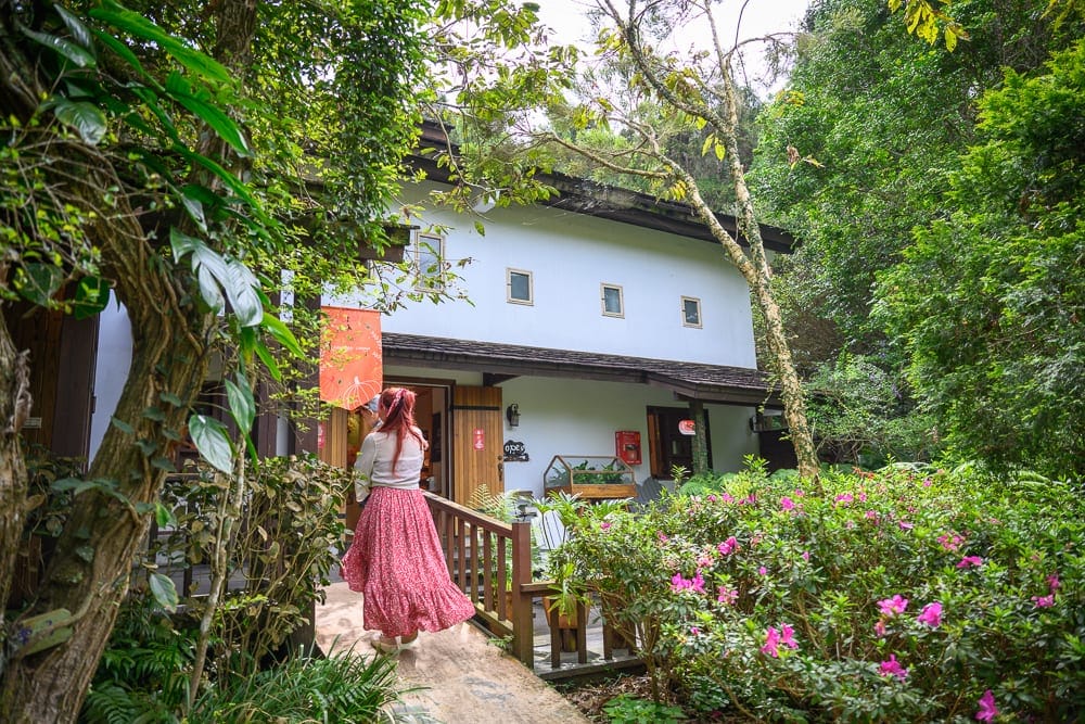 台中薰衣草森林台中新社店完整攻略|旋轉木馬、香草園步道與萬聖節限定活動 5 台中薰衣草森林萬聖節 新社山區自駕與停車實用資訊