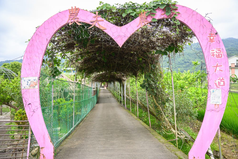 宜蘭農夫青蔥體驗農場|我們去過才知道,採蔥、做蔥油餅、走綠色隧道一次全包 3 農夫青蔥體驗農場 - 農夫青蔥體驗農場在哪?位置、規模與遊玩動