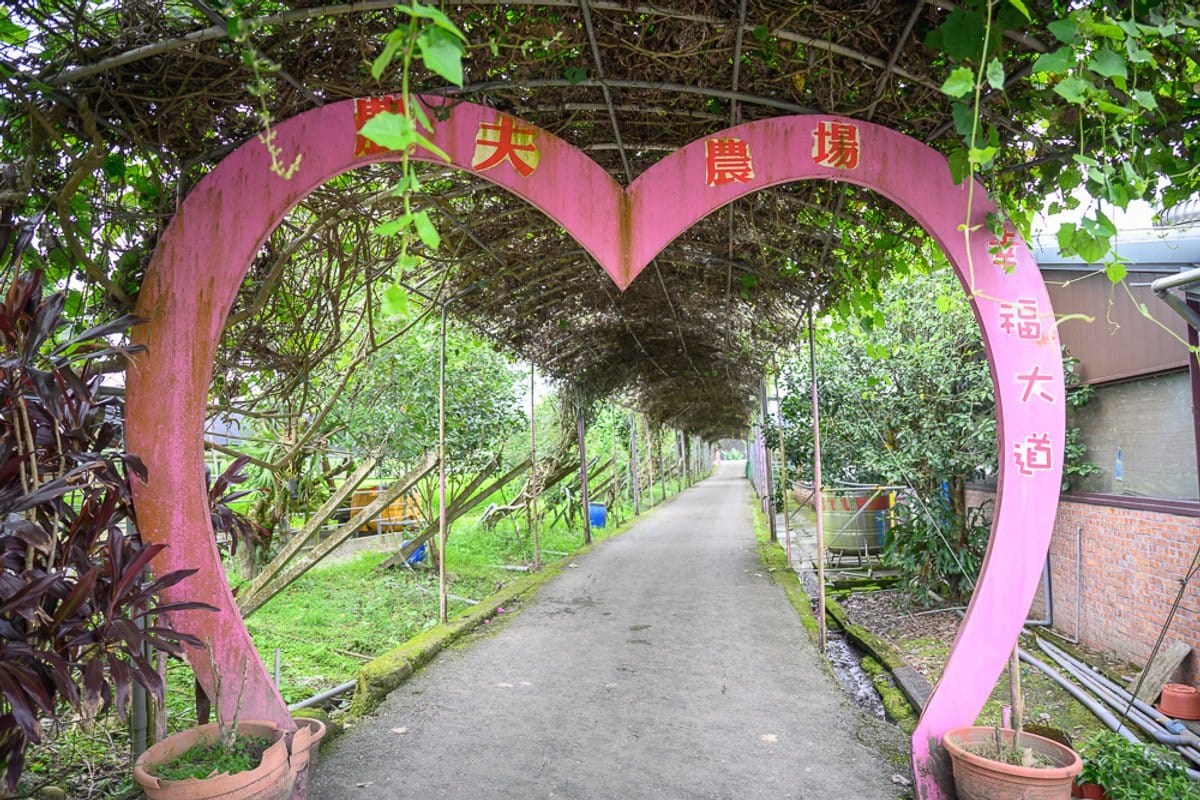 宜蘭親子農遊想體驗採蔥、做蔥油餅，農夫青蔥體驗農場怎麼安排最值得？
