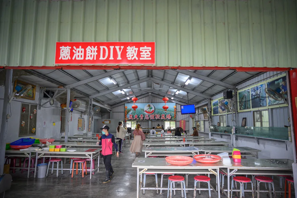宜蘭農夫青蔥體驗農場|我們去過才知道,採蔥、做蔥油餅、走綠色隧道一次全包 2 農夫青蔥體驗農場場景