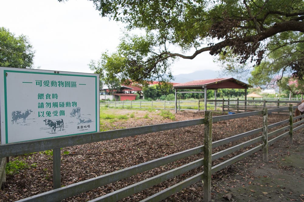 花蓮吉蒸牧場|我們去過才知道,餵小馬、逛可愛動物區,牛斑點造景拍起來有夠好看 7 花蓮吉蒸牧場 - 吉蒸牧場票價、交通與適合對象