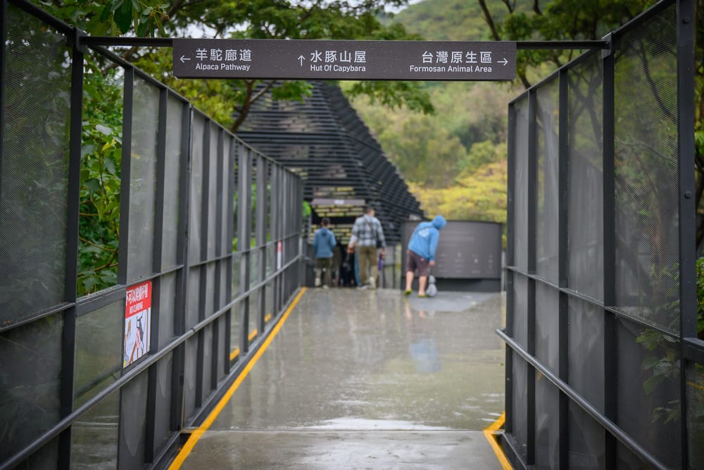 高雄壽山動物園V|我們去過才知道,空中步道穿過樹冠層,這段路才是主打 7 壽山動物園V - 壽山動物園V票價、交通與適合對象