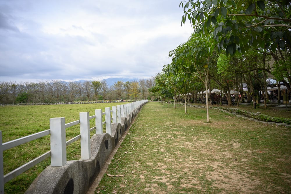 花蓮瑞穗牧場|我們去過才知道,綠地林蔭加木棧道,比想像中還好逛 1 花蓮瑞穗牧場|我們去過才知道,綠地林蔭加木棧道,比想像中還好逛