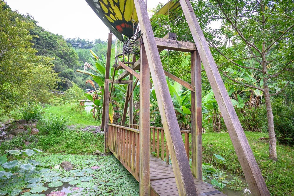 南投岸境濕地莊園
