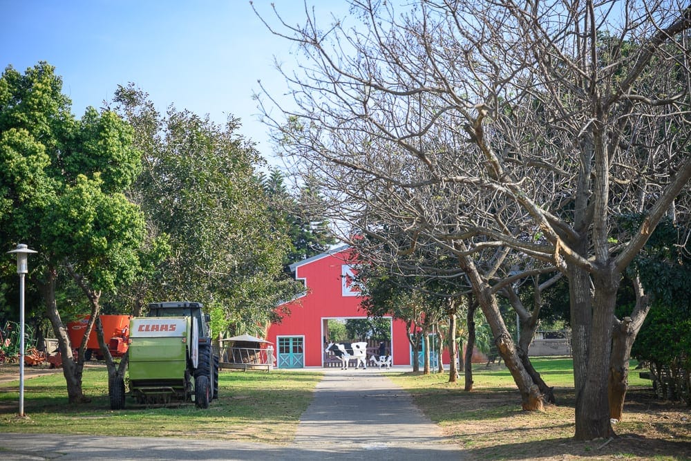 苗栗農場一日遊懶人包|4間親子牧場×香草莊園×動物互動推薦 12 四方鮮乳牧場