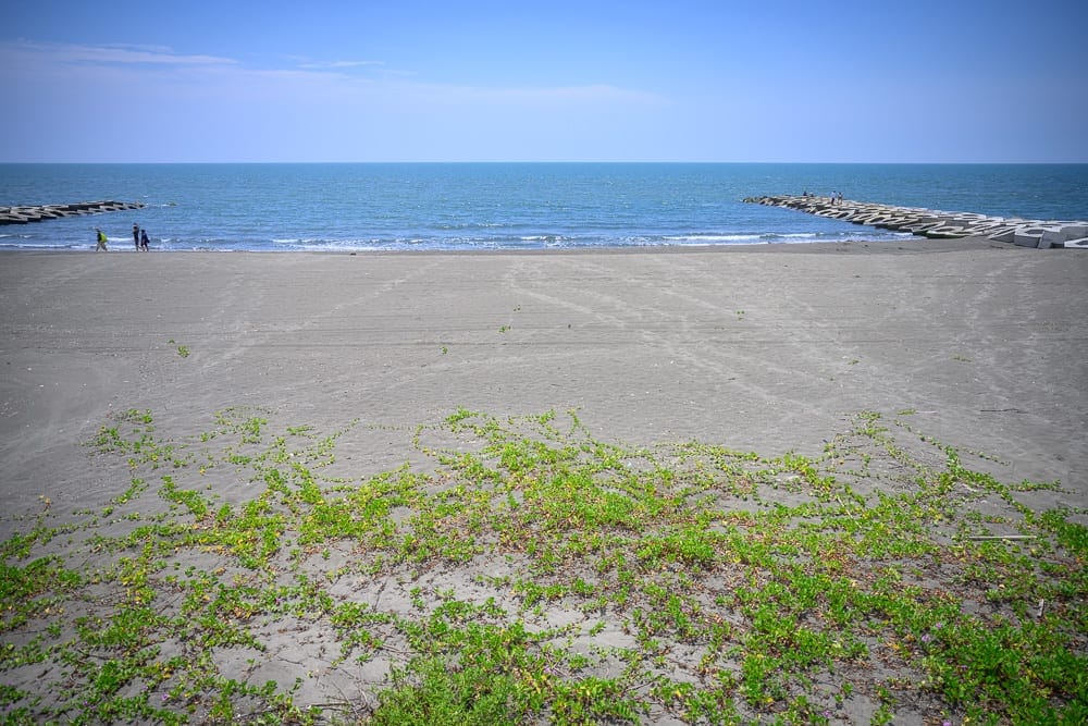 台南海邊景點懶人包|黃金海岸×四草×七股鹽山,6大海岸打卡點 17 黃金海岸方舟