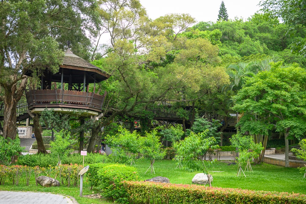 桃園奧爾森林學堂完整指南|樹屋木棧道與兒童遊樂設施玩法解析 2 桃園奧爾森林學堂 樹屋、高架木棧道與貓頭鷹的家