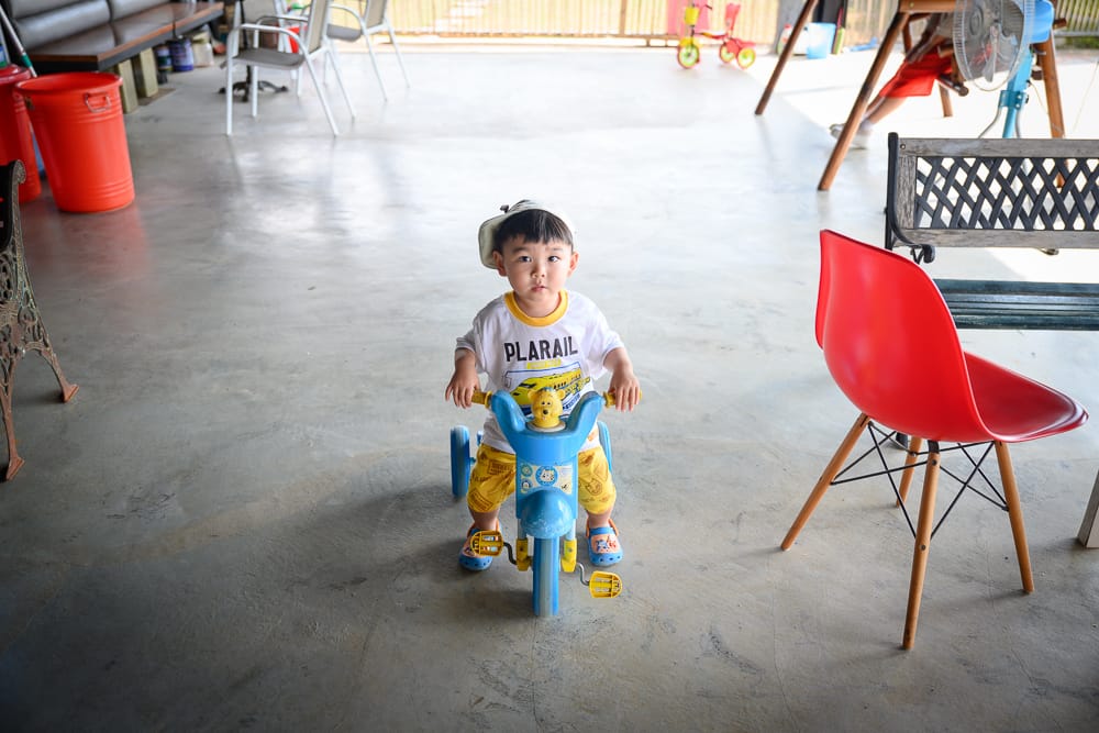 台中晴園咖啡廳|我們去過才知道,草地養著可愛動物 4 台中晴園咖啡廳 - 晴園咖啡廳必看亮點與主要體驗
