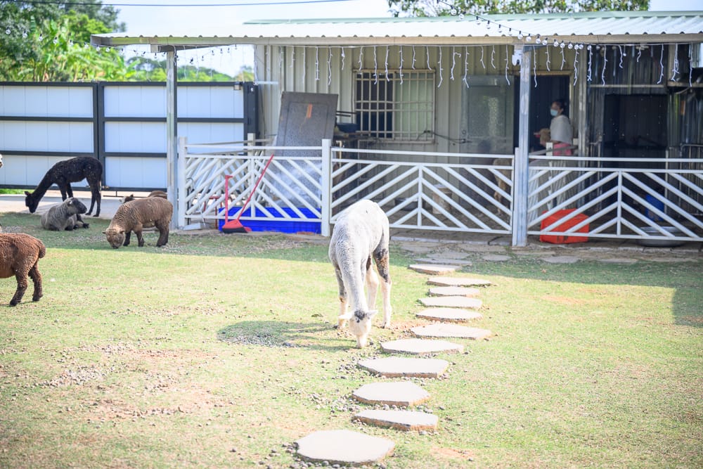 台中晴園咖啡廳|我們去過才知道,草地養著可愛動物 3 台中晴園咖啡廳 - 晴園咖啡廳在哪?位置、規模與遊玩動線