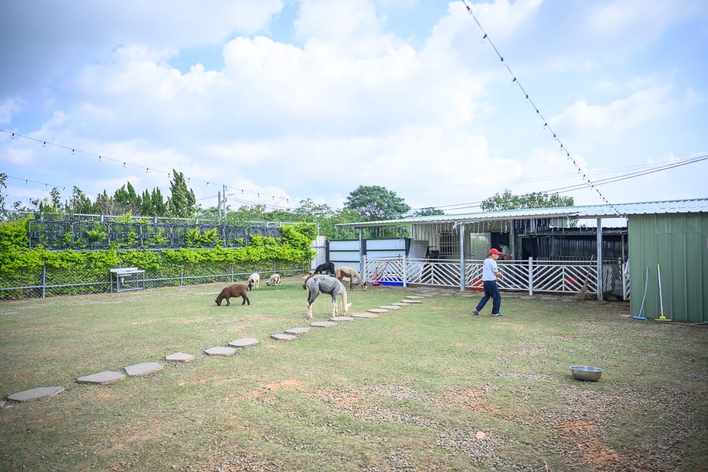 台中晴園咖啡廳|我們去過才知道,草地養著可愛動物 6 台中晴園咖啡廳 - 晴園咖啡廳附近景點與一日遊組合