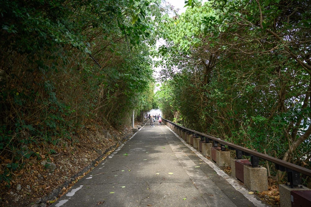 高雄旗津燈塔完整攻略|純白八角塔身登頂賞港景玩法解析 12 高雄旗津燈塔|柏油步道、護欄、樹林、行人和樹冠。綠蔭夾道延伸向前,兩側茂密枝葉與落葉鋪滿地面,遠處透出光點。