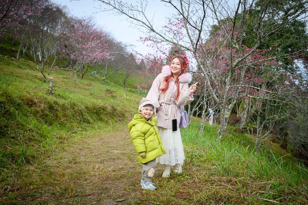 高雄寶來二集團櫻花公園 荖濃溪林道進山路線