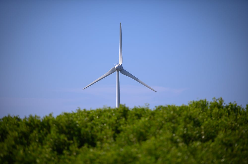 彰化海空步道｜風力發電機、樹林、藍天。白色風機矗立於茂密綠葉上方，三片扇葉清晰可見，背景為無雲晴空。