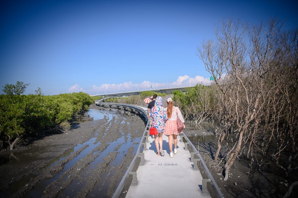 彰化海空步道｜幾位遊客行走在長形木棧道上，右側是枯木濕地，左側為翠綠紅樹林，下方泥灘有積水溝渠，遠方藍天白雲下有高