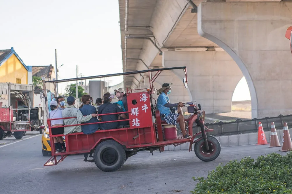 彰化芳苑濕地紅樹林海空步道完整指南|潮間帶生態與海牛車體驗 5 彰化海空步道 彰化芳苑沿海路線安排