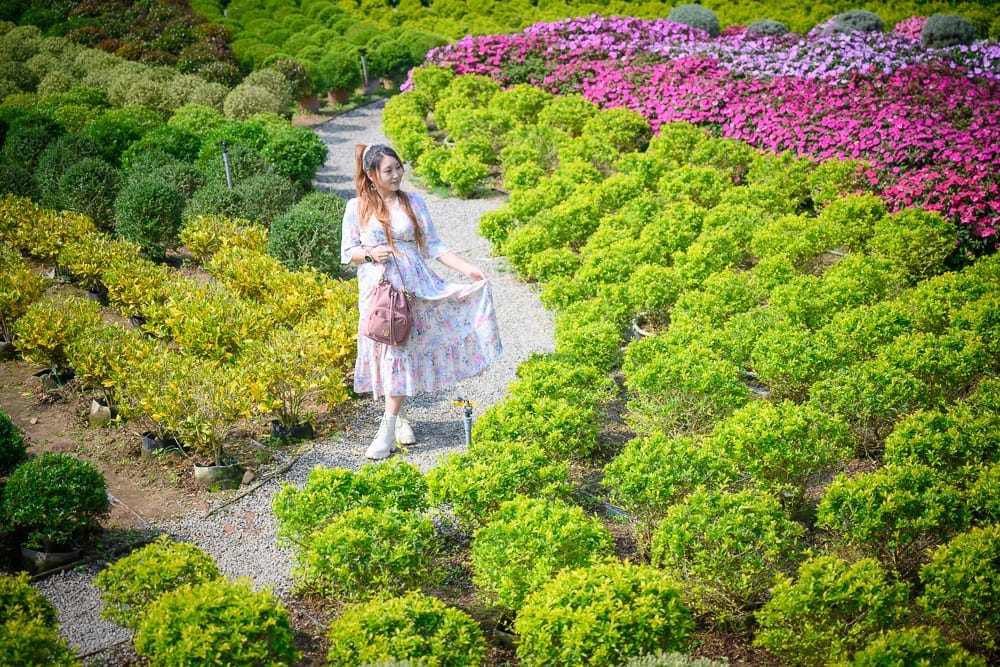 苗栗花露農場｜女子，長裙，小徑，綠灌木，花圃。女子站在花圃間的碎石小徑上，身穿花色長裙，手提棕色包包。周圍種滿修剪