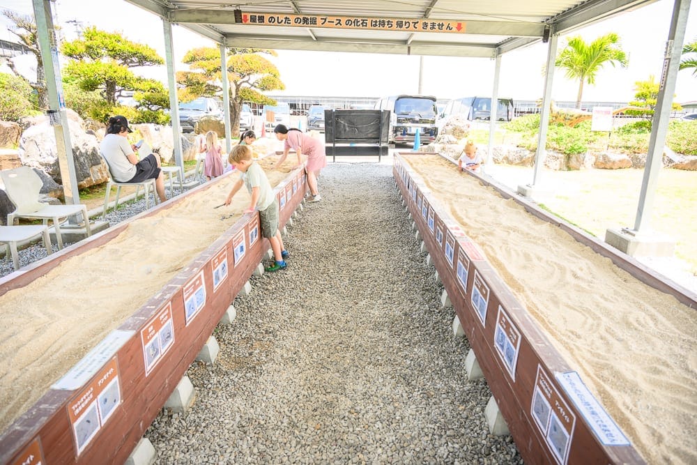 日本沖繩釣魚與探索冒險樂園完整攻略|親子體驗玩法解析 2 日本沖繩釣魚與探索冒險樂園 釣龍蝦撈魚化石尋寶一次搞定