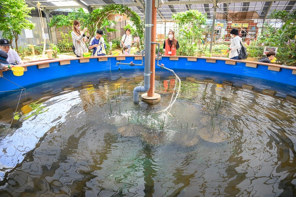 日本沖繩釣魚與探索冒險樂園完整攻略|親子體驗玩法解析 3 日本沖繩釣魚與探索冒險樂園 甲蟲觸摸體驗與室內探索