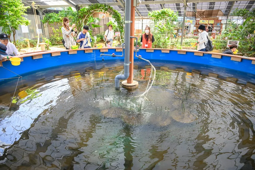 日本沖繩釣魚與探索冒險樂園完整攻略|親子體驗玩法解析 3 日本沖繩釣魚與探索冒險樂園 甲蟲觸摸體驗與室內探索