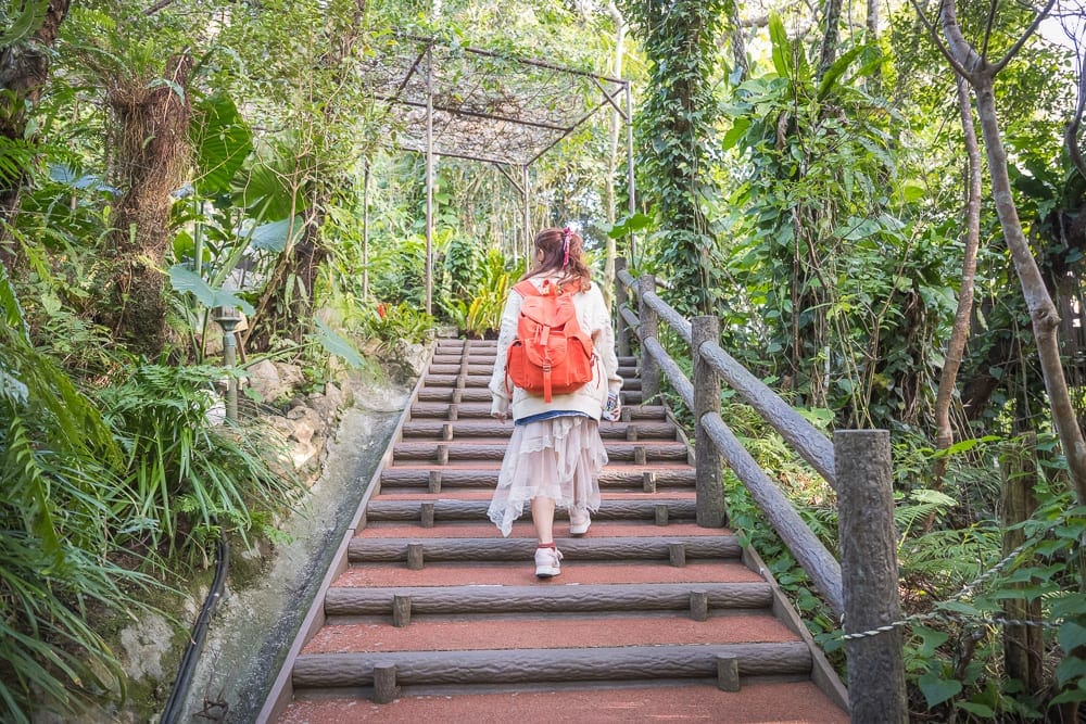 沖繩東濱恐龍公園完整攻略|親子免費景點玩法解析 13 日本沖繩恐龍公園|階梯、樹林、背包、植物、步道,背著橘色雙肩包的女子行走於綠意盎然的戶外山林木棧道,四周環繞著茂密樹木