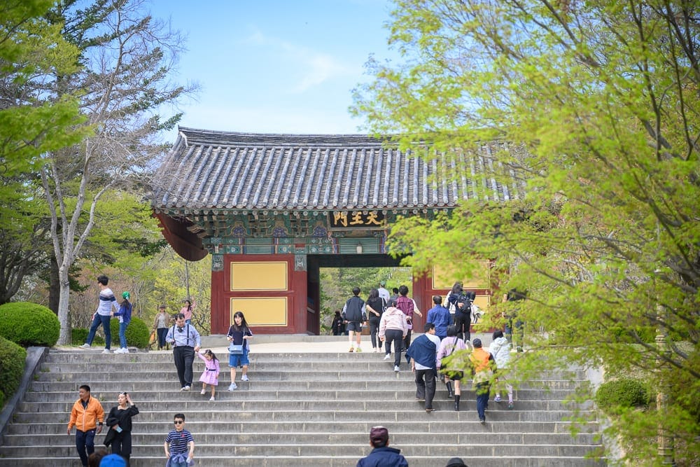 韓國慶州佛國寺櫻花完整指南|石階林道與寺廟場景攻略 12 韓國慶州佛國寺櫻花|寺廟、階梯、人群、樹木,遊客穿梭於傳統寺廟的天王門前,石階上有上下行走的行人,兩側綠樹繁茂。