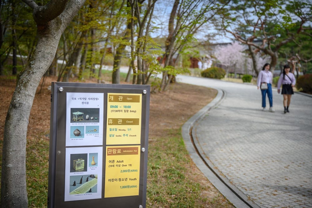 韓國慶州佛國寺櫻花完整指南|石階林道與寺廟場景攻略 5 韓國慶州佛國寺櫻花 人潮、角度與告示牌資訊