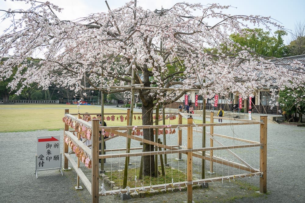 日本福岡-護國神社 護國神社與稻荷神社聯合收集技巧